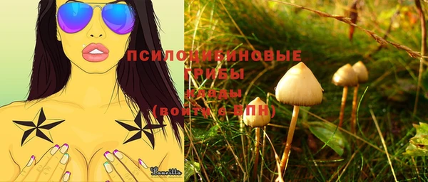 стафф Пролетарск