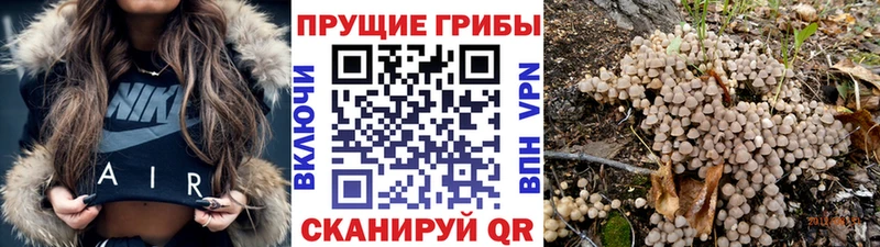 Псилоцибиновые грибы MAGIC MUSHROOMS  Малоархангельск 